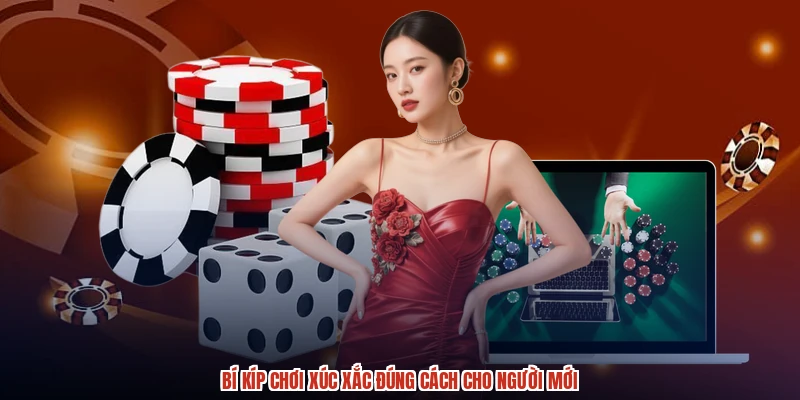 Bí kíp chơi xúc xắc đúng cách cho người mới Bí kíp chơi xúc xắc đúng cách cho người mới