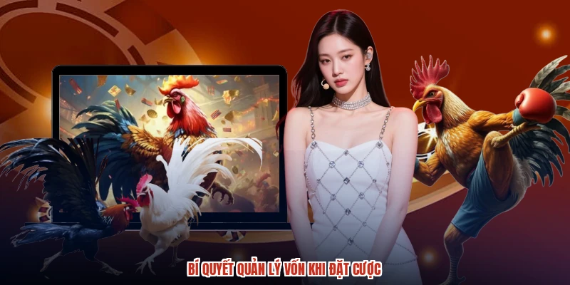 Bí quyết quản lý vốn khi đặt cược Bí quyết quản lý vốn khi đặt cược