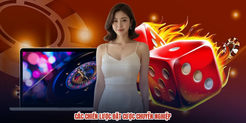 Các chiến lược đặt cược chuyên nghiệp Các chiến lược đặt cược chuyên nghiệp