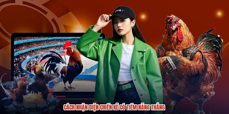 Cách nhận diện chiến kê có tiềm năng thắng Cách nhận diện chiến kê có tiềm năng thắng