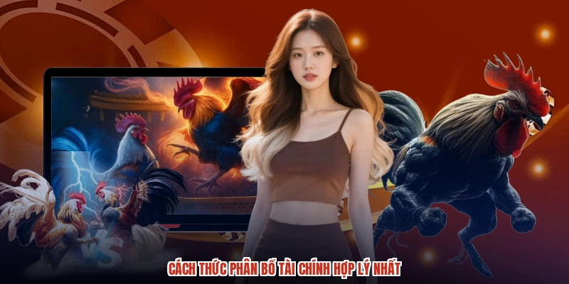 Cách thức phân bổ tài chính hợp lý nhất Cách thức phân bổ tài chính hợp lý nhất