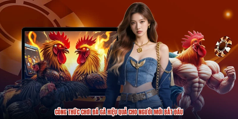 Công Thức Chơi Đá Gà Hiệu Quả Cho Người Mới Bắt Đầu