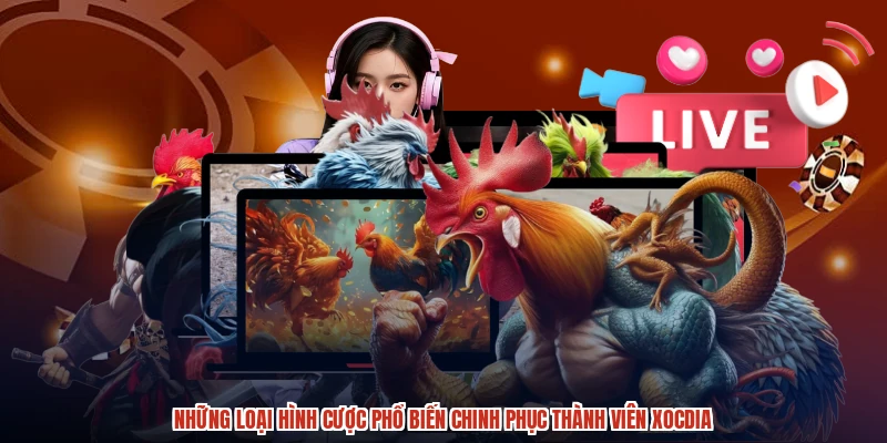 Những loại hình cược phổ biến chinh phục thành viên XÓC ĐĨA
