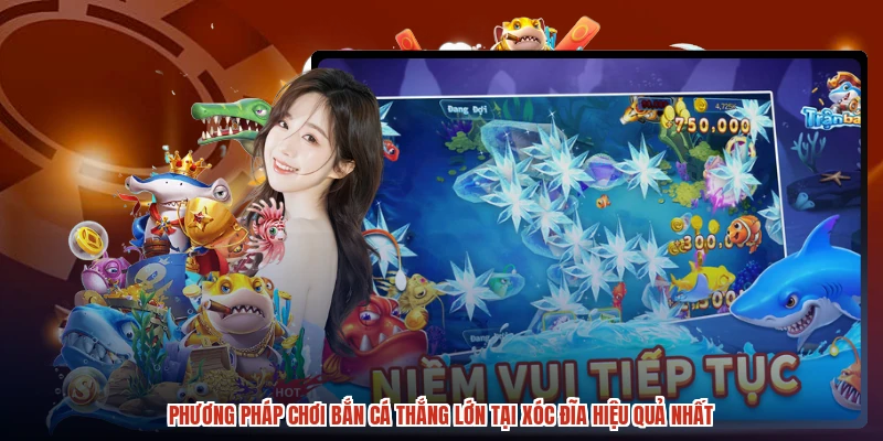 Phương Pháp Chơi Bắn Cá Thắng Lớn Tại XÓC ĐĨA Hiệu Quả Nhất