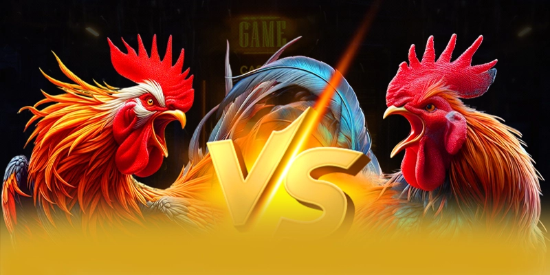 Hệ thống hỗ trợ người chơi tại BET88 Hệ thống hỗ trợ người chơi tại BET88