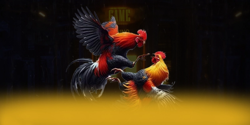FB88 - Sảnh game cung cấp hàng trăm tựa game đẳng cấp 2026 FB88 - Sảnh game cung cấp hàng trăm tựa game đẳng cấp 2026