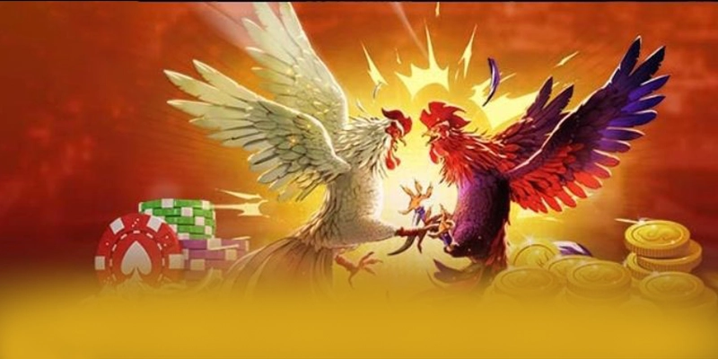 Phản hồi từ cộng đồng người chơi về 8xbet Phản hồi từ cộng đồng người chơi về 8xbet
